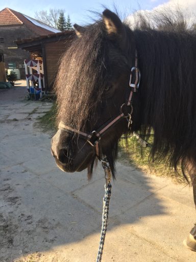 Ronja