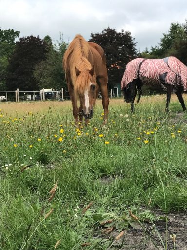 Sally mit Zara